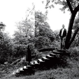 timber timbre - timber timbre 