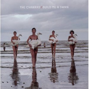 the chakras - build me a swan