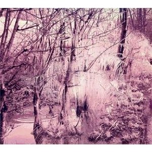 esben and the witch - violet cries