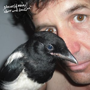 glacier (of maine) &acirc; above and beside me