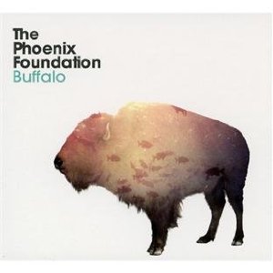 the phoenix foundation &acirc; buffalo