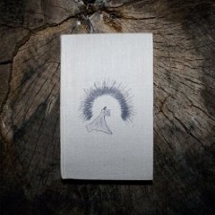 trouble over tokyo - the hurricane