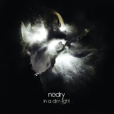 nedry - in a dim light