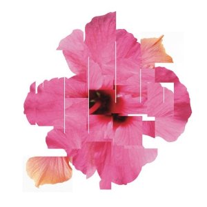 the separate – orchestral variations vol.1