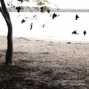 tallest man on earth - there's no leaving now