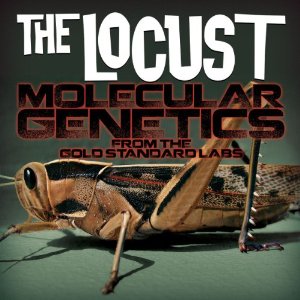the locust - molecular genetics from the gold standard labs