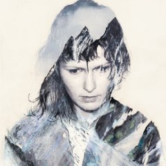 hanne kolsto - stillness and panic