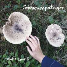 schlammpeitziger - what's fruit?