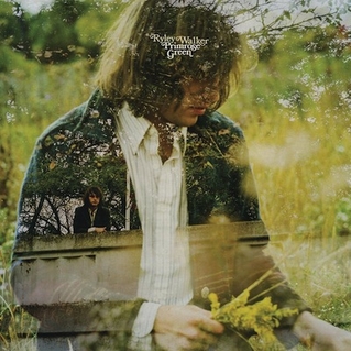 ryley walker - primrose green