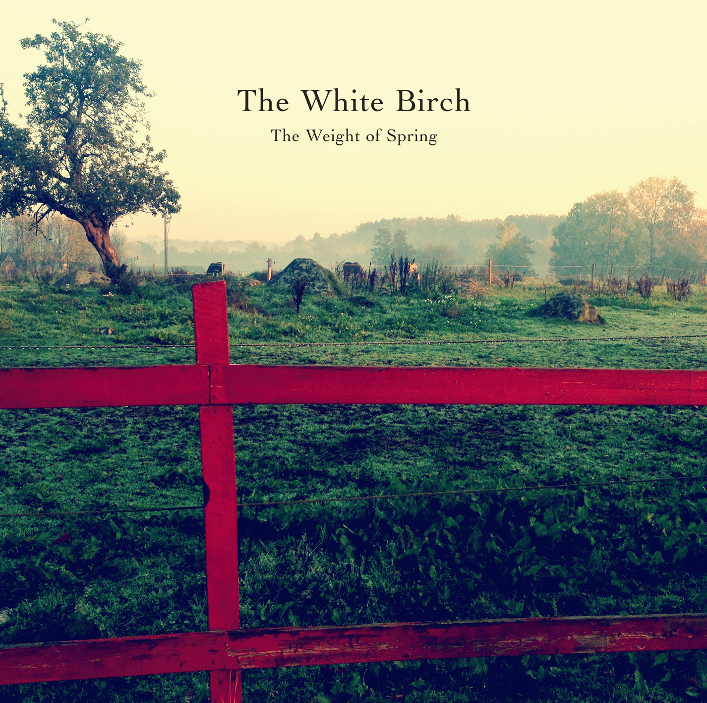 the white birch - the weight of spring