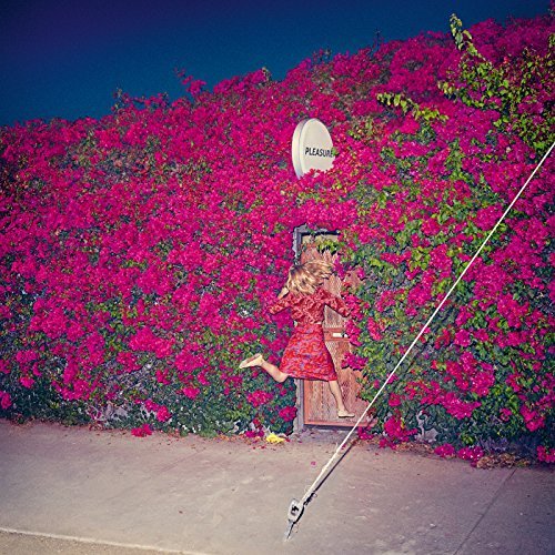 feist - pleasure